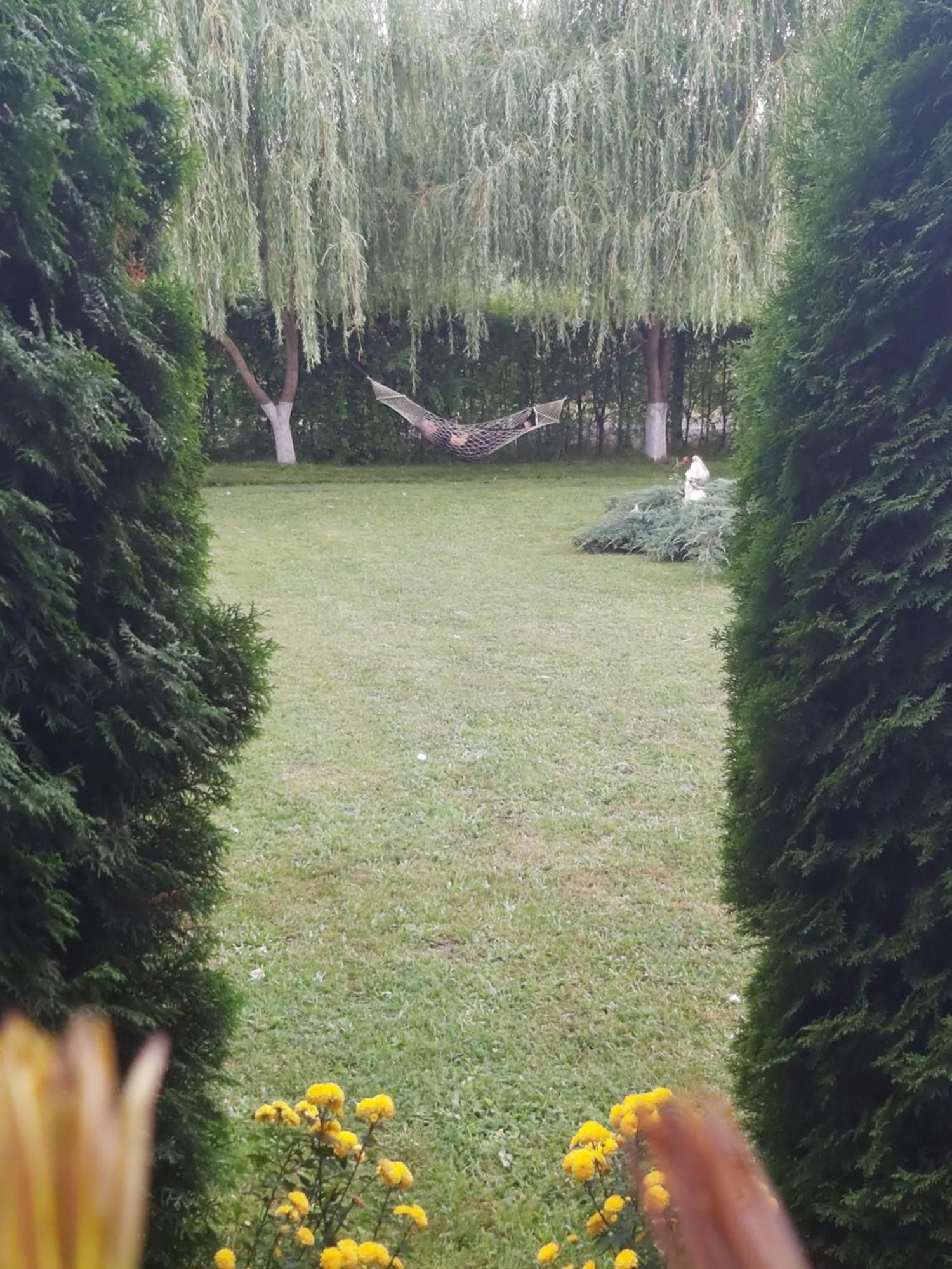 Pensiunea Maya ซิมบาตา เด ซุส ภายนอก รูปภาพ